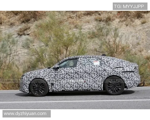 ds8比赛-赛程激扬斗志，DS8比赛的魅力与挑战-ds8比赛